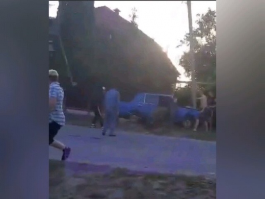 Свинья укусила водителя «жигулей» и спровоцировала ДТП со столбом в Воронежской области