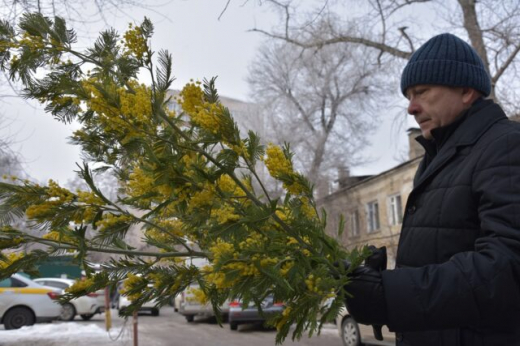 Климатическая весна в Воронеже наступила на две недели раньше