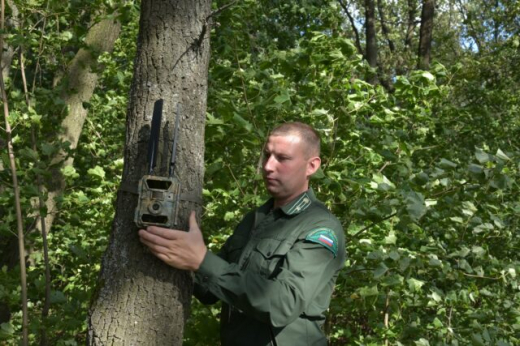 Зачем в воронежских лесах устанавливают скрытые камеры и что грозит любителям разжигать костры