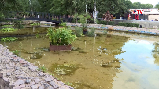 Эксперимент в воронежском зоопарке поможет очистить водохранилище