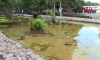 Эксперимент в воронежском зоопарке поможет очистить водохранилище