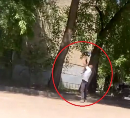 Воронежец из мести расстреливал ворон у детского сада – теперь его ищет полиция