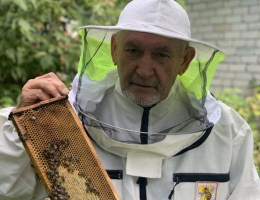 Фальсификат, импортные пчёлы и химикаты: с какими проблемами сталкиваются воронежские пчеловоды