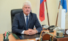 Владимир Просветов переизбран главой Нижнедевицкого района Воронежской области