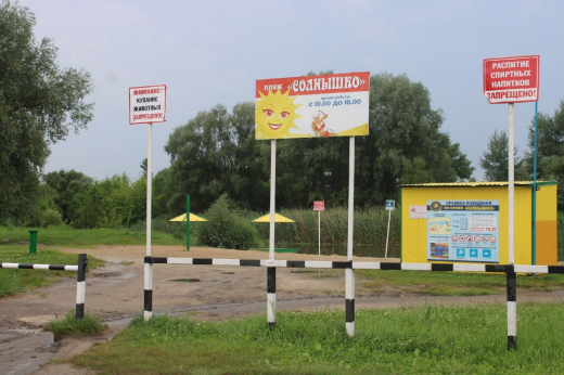 Пляжного хулигана задержали в Воронежской области