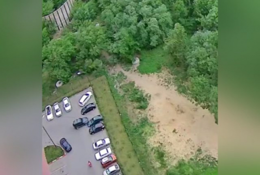 Машина без водителя устроила ДТП из-за сильного ветра в Воронеже