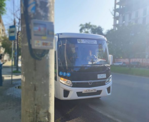 Пассажирке зажало ногу в воронежском автобусе