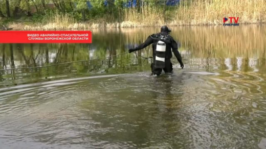 Около сотни воронежских пляжей обследуют водолазы