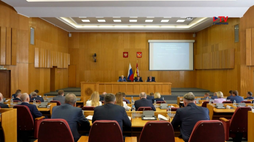 Воронежские депутаты за 5 лет приняли 750 региональных законов