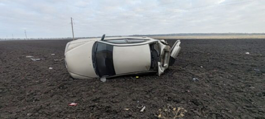 Воронежец на иномарке вылетел в кювет из-за дикого животного на трассе