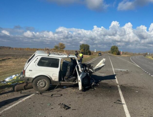 В ДТП на трассе в Воронежской области погибла женщина и пострадала 9-летняя девочка