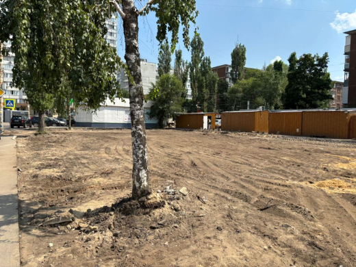 В Воронеже на месте рынка появится новый сквер