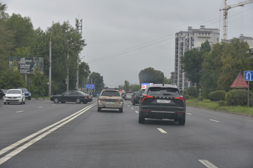 Новая схема движения на ул. Димитрова не избавила левый берег Воронежа от пробок