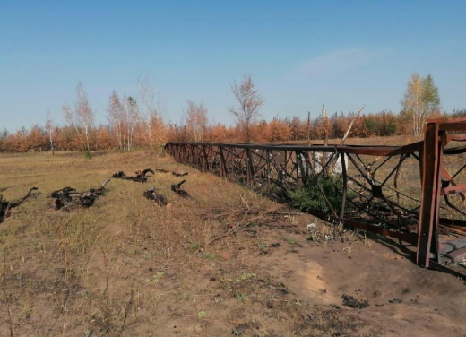 Россошанцам, устроившим лесной пожар при распиливании 17-тонной вышки, вынесли приговор