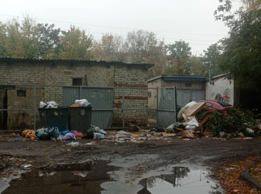 Горы мусора и антисанитария возмутили воронежцев