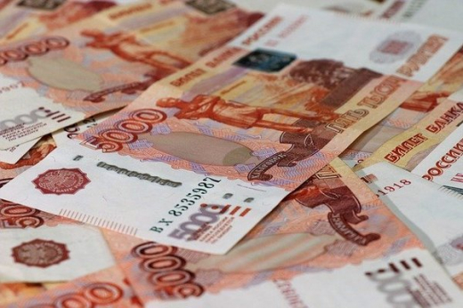 Ущерб от налоговых преступлений в Воронежской области по итогам года составил 600 млн рублей