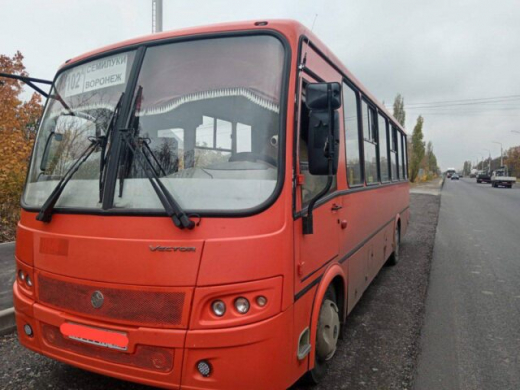 В автобусе «Семилуки – Воронеж» упала пассажирка