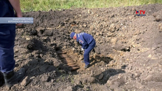 «Скорее всего, венгерские»: уничтожено полторы дюжины снарядов времён ВОВ, найденных в Воронеже