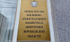Майя Талынева назначена на должность заместителя министра воронежского ЖКХ