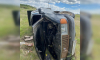 Пьяный водитель вылетел в кювет на трассе М-4 «Дон» в Воронежской области: пассажир погиб