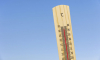 33-градусная жара придёт в Воронежскую область в последний день мая