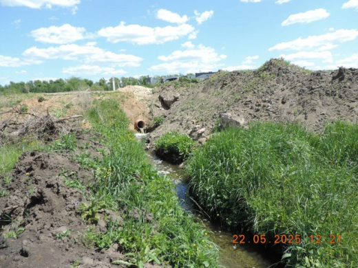 Коммунальная компания сбрасывала стоки в лесу под Воронежем