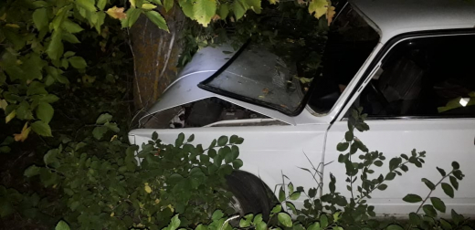 Водители мопеда и «семёрки» потеряли управление и погибли в ДТП в Воронежской области