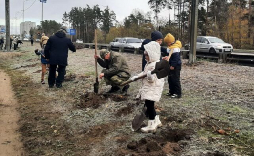 Воронежцы высадили аллею в честь 100-летнего юбилея ветерана ВОВ Николая Борисова