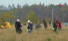 Более двух тысяч гектаров нового леса собираются посадить в Воронежской области в 2024 году