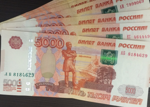 Под Воронежем женщина выдавала свою семью за бедную, чтобы получить 300 тыс. рублей