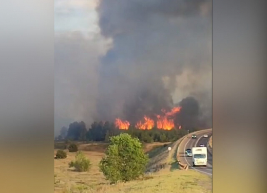 В Лискинском районе Воронежской области вспыхнул лесной пожар