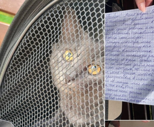 Выброшенного кота с сопроводительным письмом нашли на мусорке в воронежском ЖК