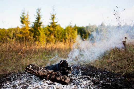 Чрезвычайная пожарная опасность установится в некоторых районах Воронежской области