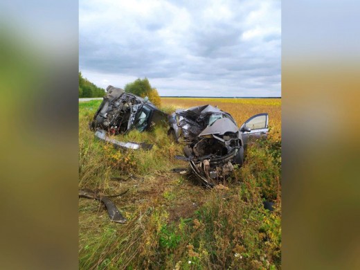 Водитель легковушки погиб в лобовом ДТП с внедорожником в Воронежской области