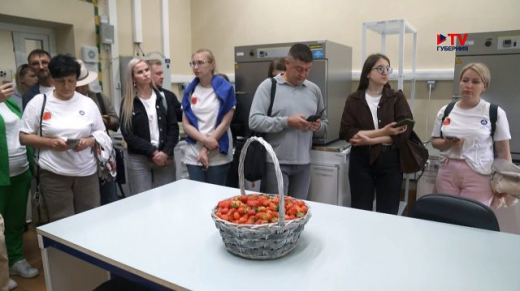 Можно употреблять в безграничных количествах: нововоронежскую клубнику проверили на безопасность