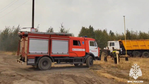 Пожарные в 3 раза нарастили группировку для тушения возгорания в районе Семилукских выселок Воронежской области