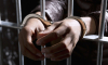 Находящийся в розыске 12 лет бывший липецкий чиновник задержан по обвинению в хищении 2 млрд рублей