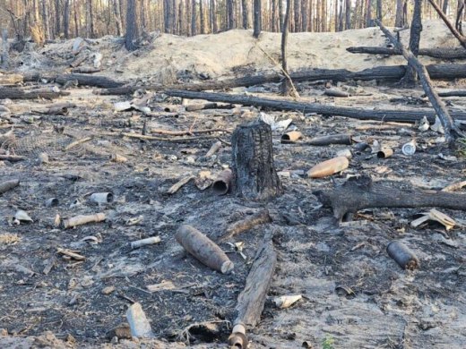 Воронежцы попытались сдать в металлолом неразорвавшиеся снаряды из лесного массива