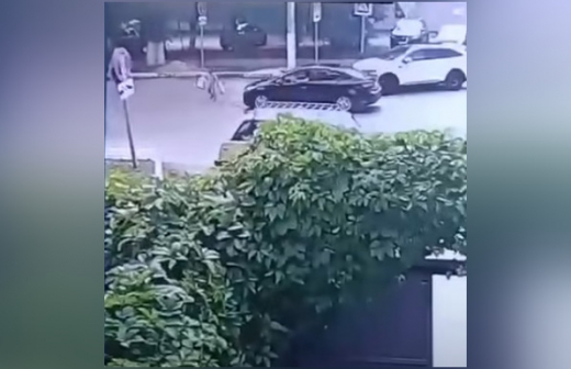 Заммэра воронежских Семилук оштрафовали за наезд на семилетнего школьника