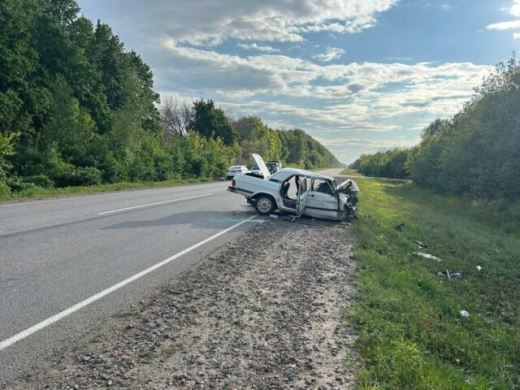 Виновницу ДТП с двумя погибшими в Воронежской области приговорили к трём годам колонии