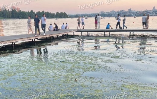 «Пожалуйста, не купайтесь там»: воронежцы пожаловались на состояние водохранилища