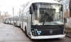 Первые автобусы-гармошки прибыли в Воронеж