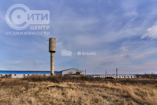 Агрокомплекс под Воронежем продают за 200 млн рублей