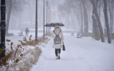 Синоптики рассказали, когда в Воронежской области закончится снегопад