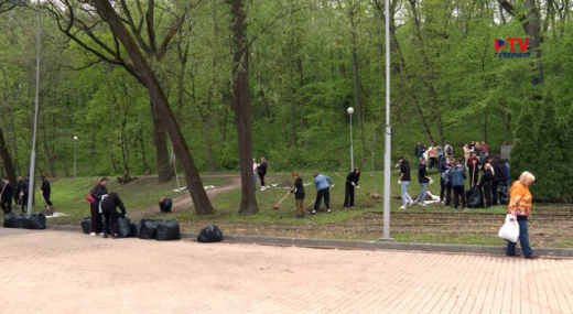 В Центральном парке Воронежа в ходе субботника высадили 50 деревьев разных пород