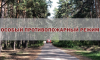 На территории Воронежской области отменен особый противопожарный режим