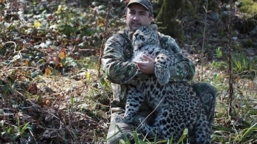 Разработал «экзамен» для леопардов: Центру восстановления хищников дали имя выпускника воронежского вуза
