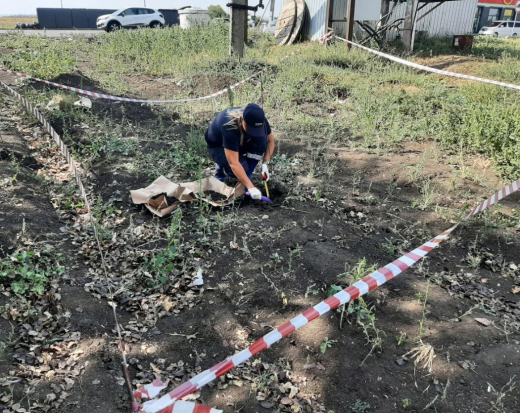 Владелец участка в Воронежской области возместил ущерб почвам после сброса канализационных стоков возле кафе «Помпончик»