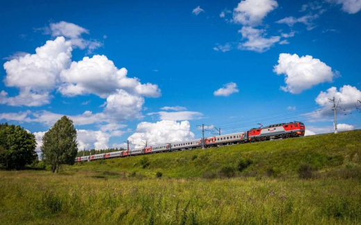 Из-за повреждения железнодорожного полотна в Воронежской области несколько поездов остановлены