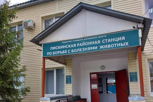 Воронежские прокуроры пошли с проверками по всем учреждениям по борьбе с болезнями животных